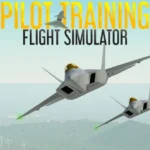 Pilot Training Flight Simulator