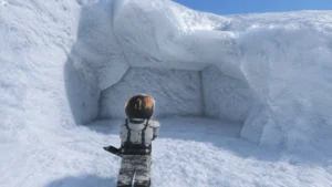 Survive 7 Days In Arctic [Alpha]